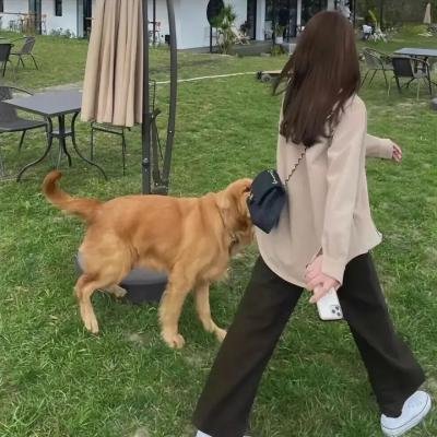 女士优先